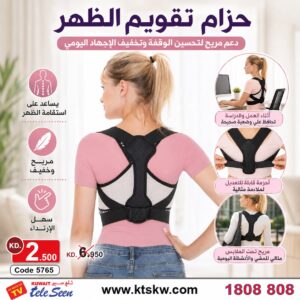 Back Belt